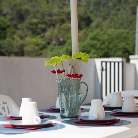 Home Family Tossa de Mar Zewnętrze zdjęcie